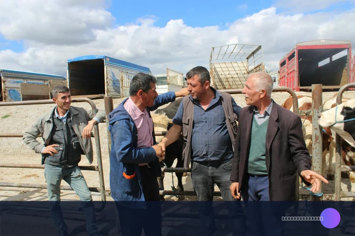 Hayvancılık / Tarım Destek Primi Nasıl Hesaplanır? 2026 Formül ve Örnek