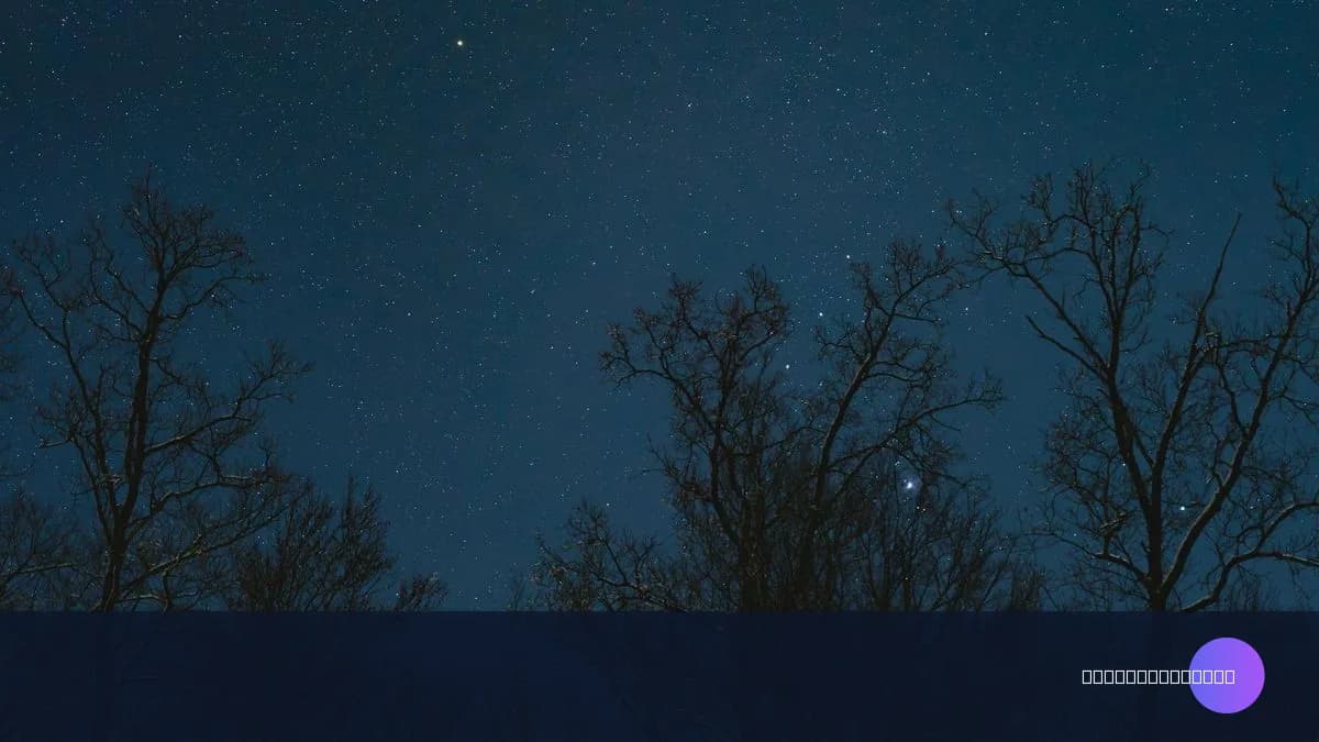 Gece Mesaim / Vardiyam Ödenmedi — Haklarınız ve Yapmanız Gerekenler (2026)