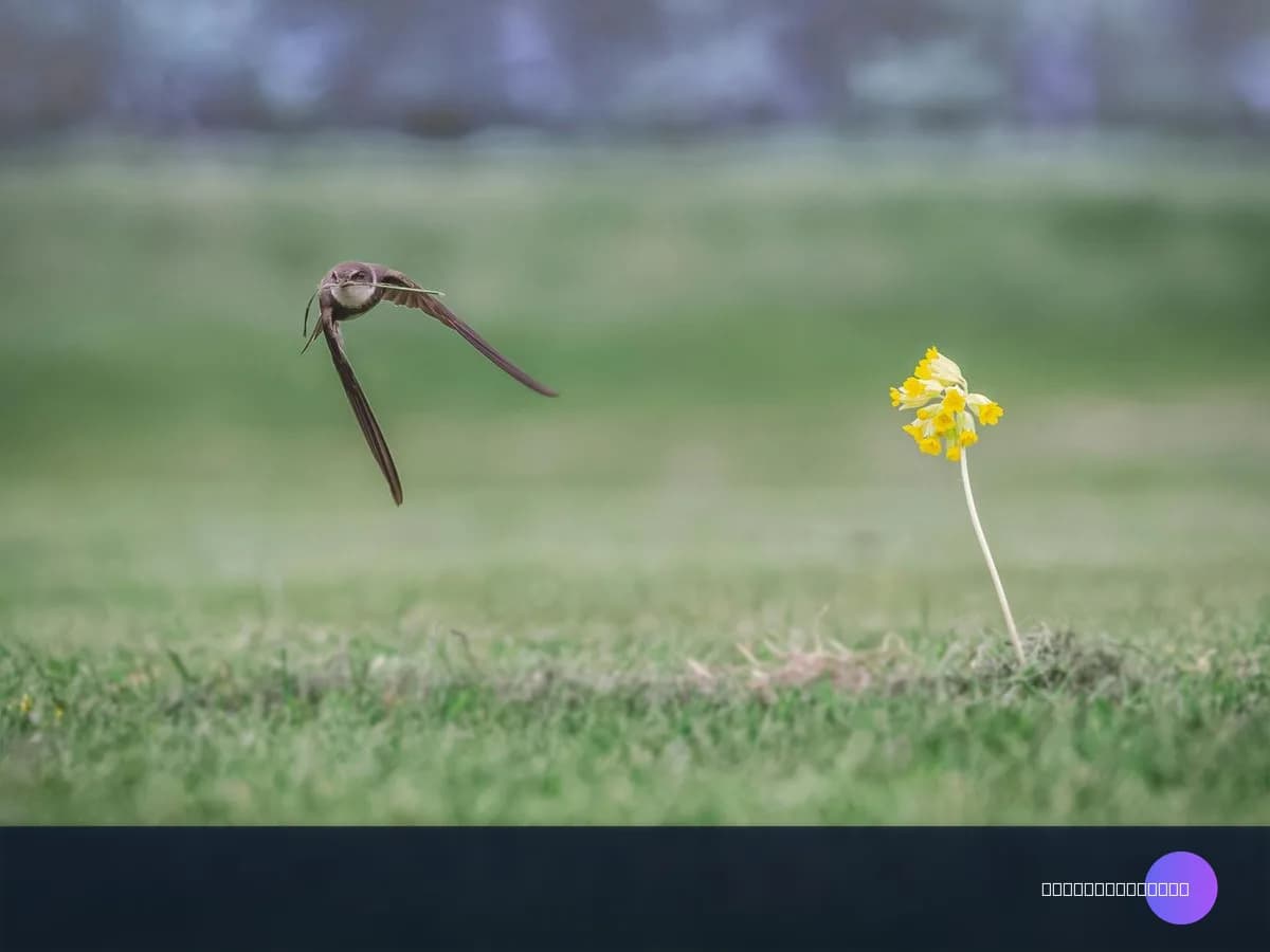 Müşteri Veri Gizlilik Sözleşmesi Nasıl Hazırlanır? 2026 Güncel Rehber