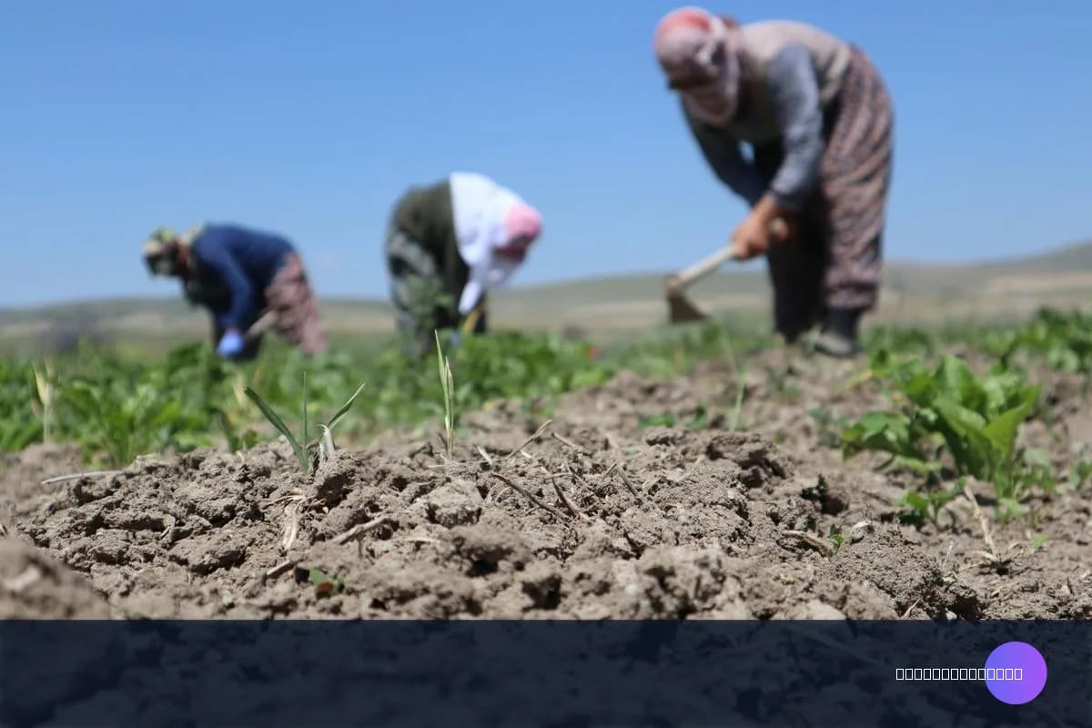 İlaç Yan Etkisi Mağduriyeti — Haklarınız ve Yapmanız Gerekenler (2026)